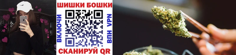 Бошки Шишки ГИДРОПОН  Купить  Миньяр 